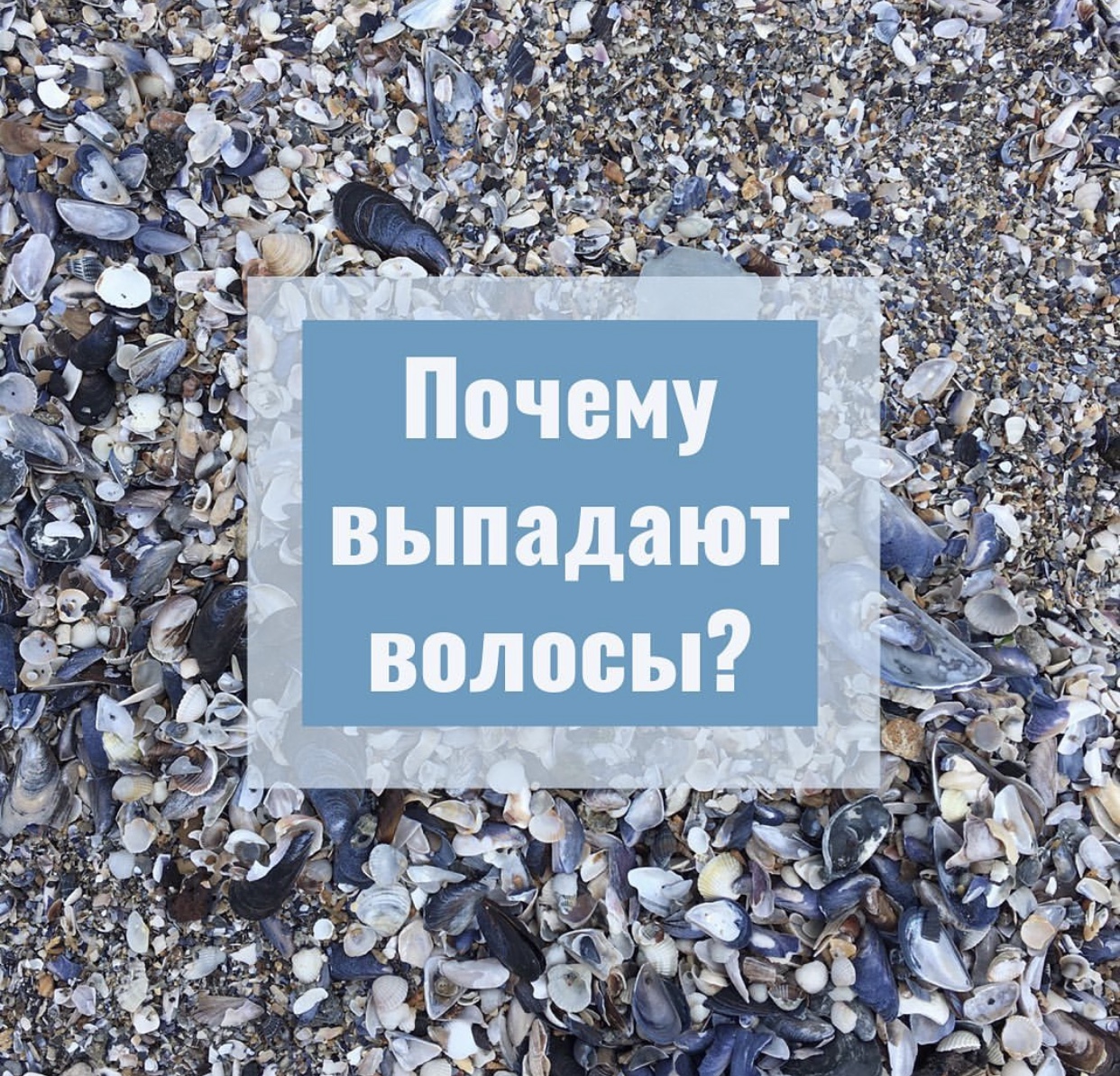 0F87B6EC-DE82-470E-B7DC-1E7DF4E22FB6